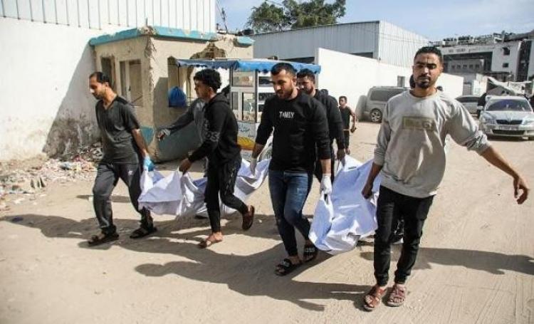 صورة ارشيفية