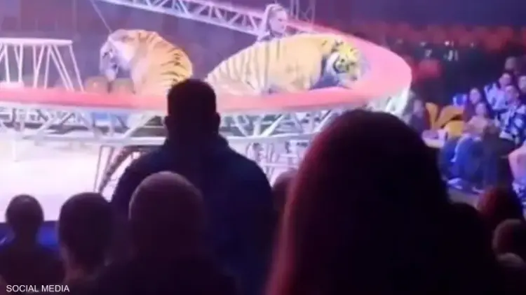 جانب من الفيديو