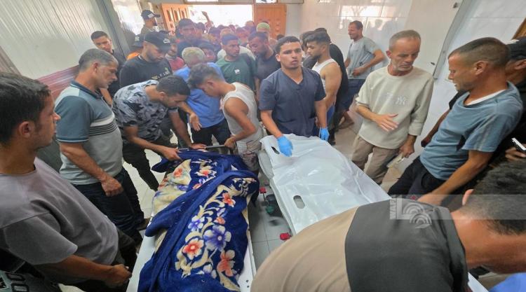 صورة ارشيفية