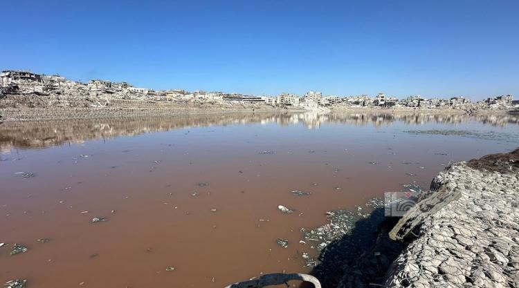 بركة الشيخ رضوان