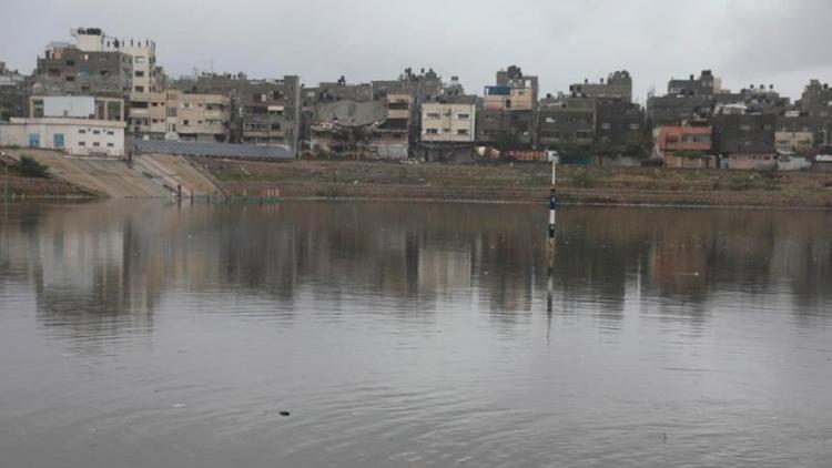 بركة الشيخ رضوان