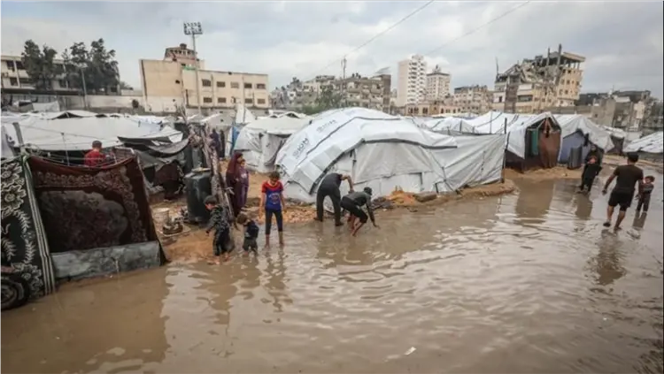 غزة