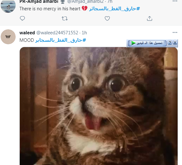 7.PNG
