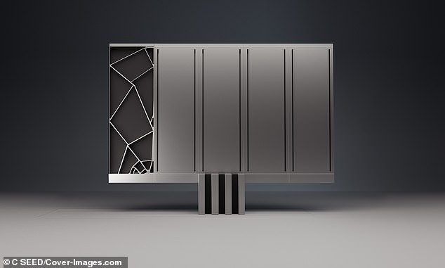 39945150-9316501-image-a-12_1614690514821.jpg