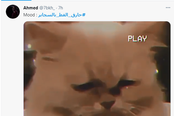 1.PNG