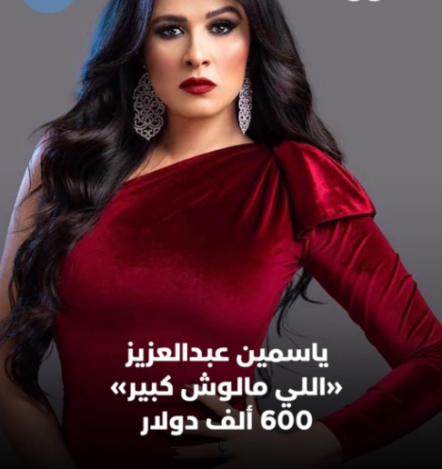ياسمين عبد العزيز.PNG
