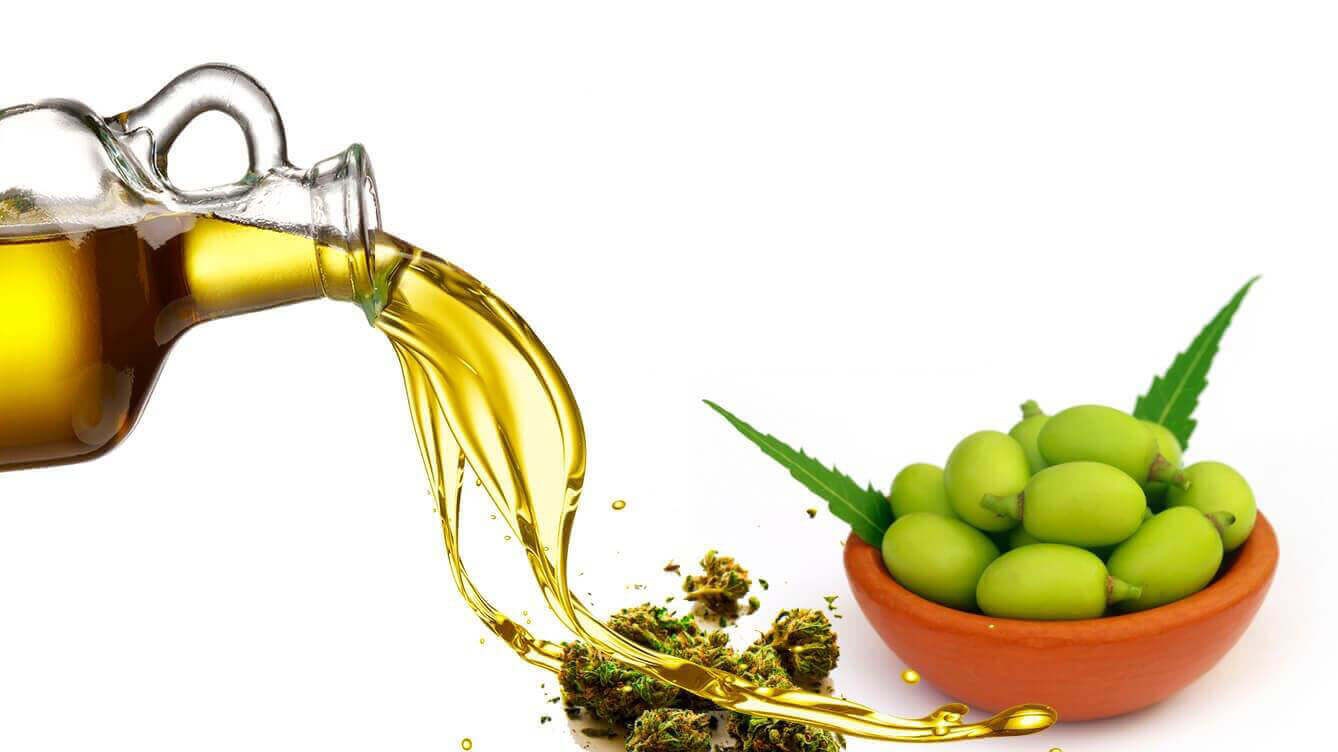 Neem-Oil-for-Skin-And-Hair-and-Plants.jpg