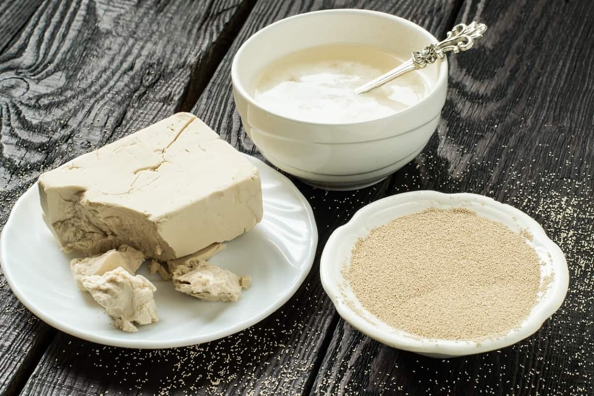 فوائد-خميرة-البيرة-للجسم.jpg
