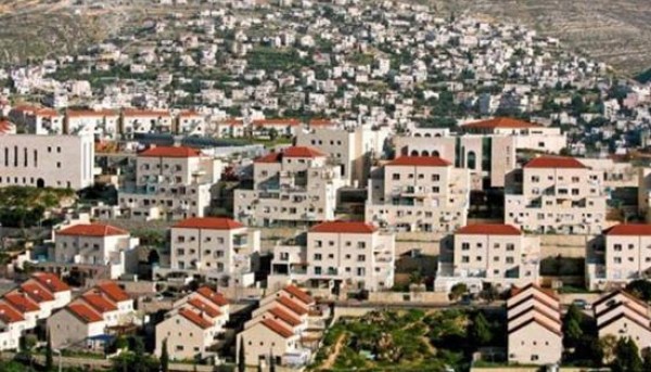 المستوطنات.jpg