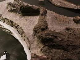 العثور على حفرية دنياصور "مخيف" في صحراء مصر 