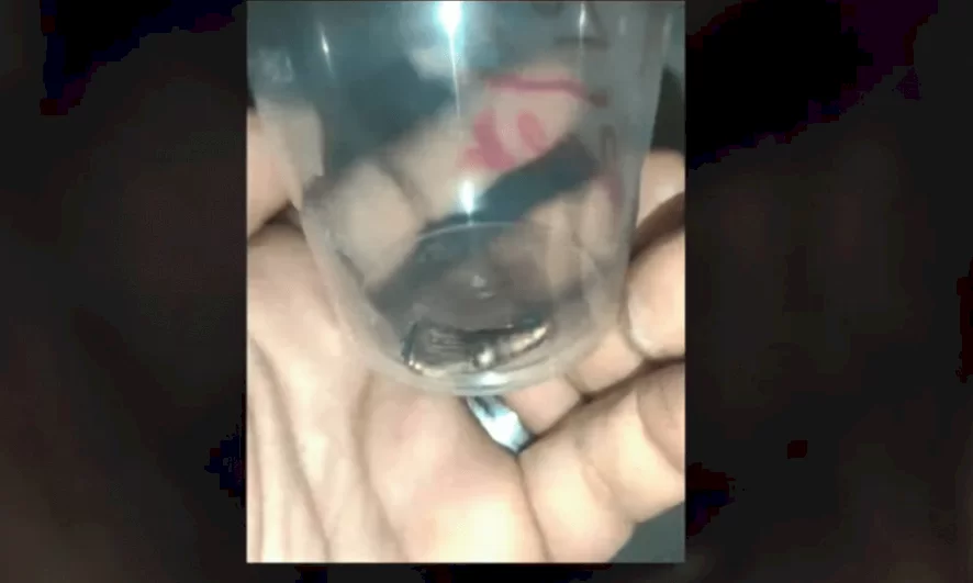 untitled-1655402834.png.webp