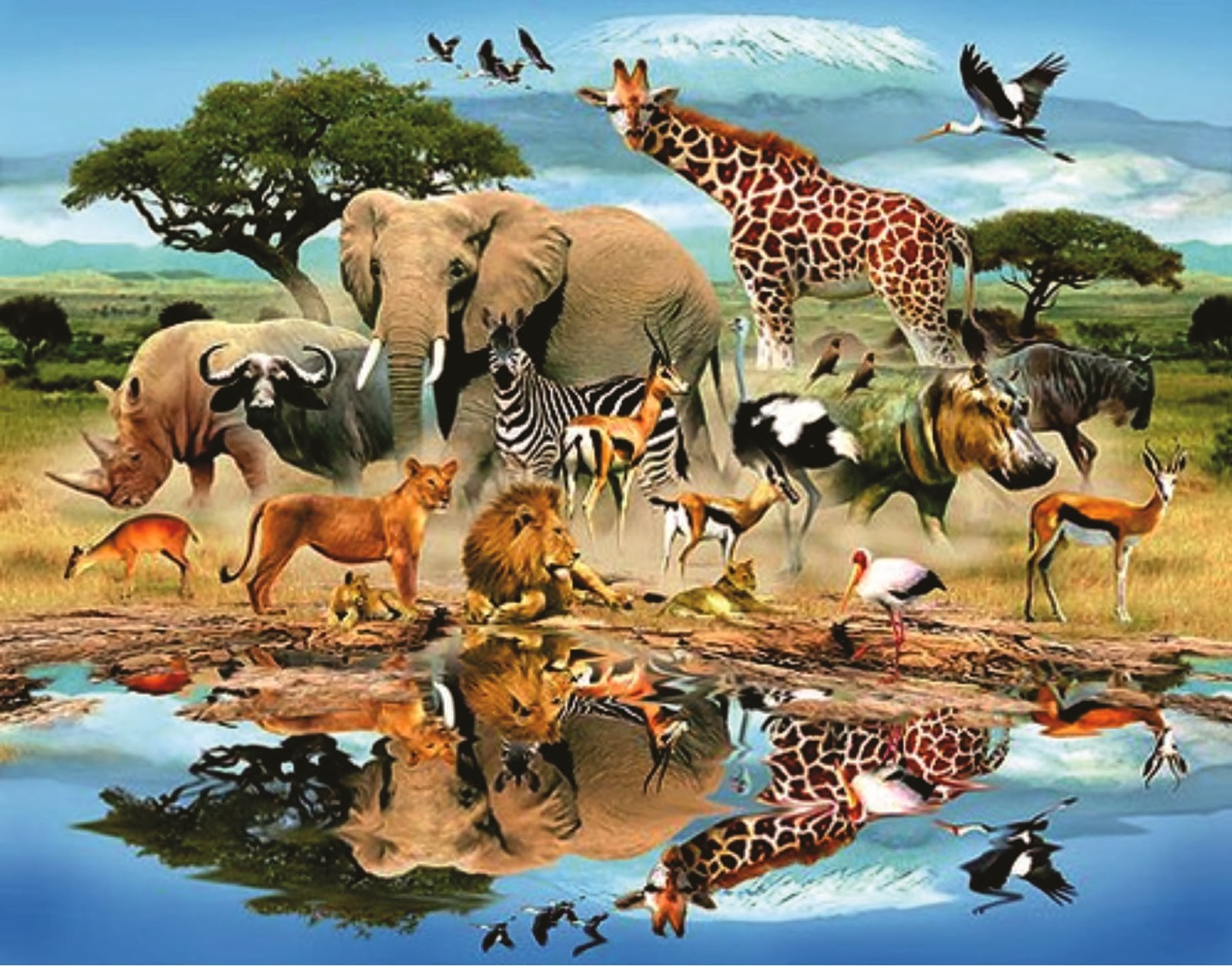 صورة مجمعة لبعض الحيوانات
