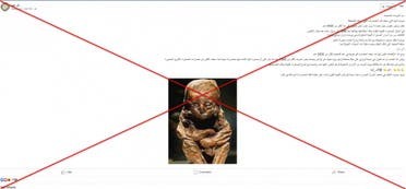 e524d5d1-9182-4687-87b5-f92dc6840af2.jpeg