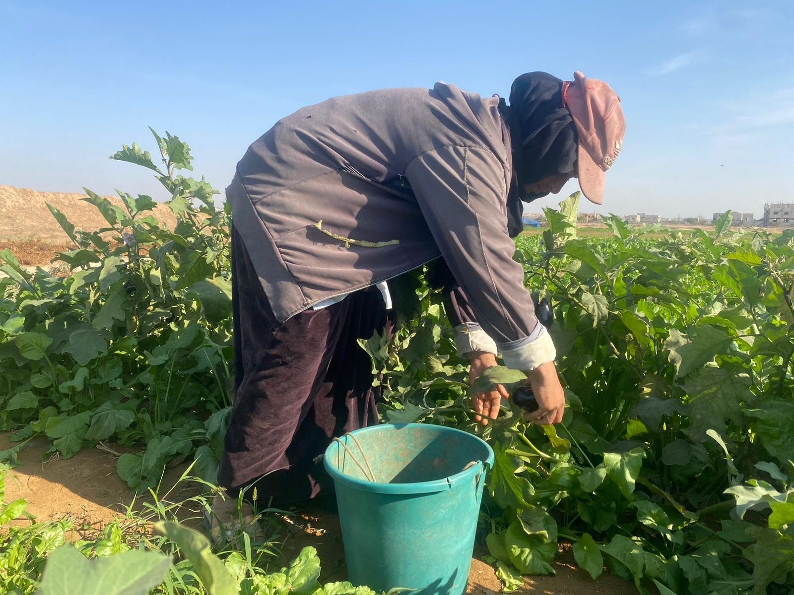 8c0dad70-7892-4147-806e-6271667a6f87.jfif