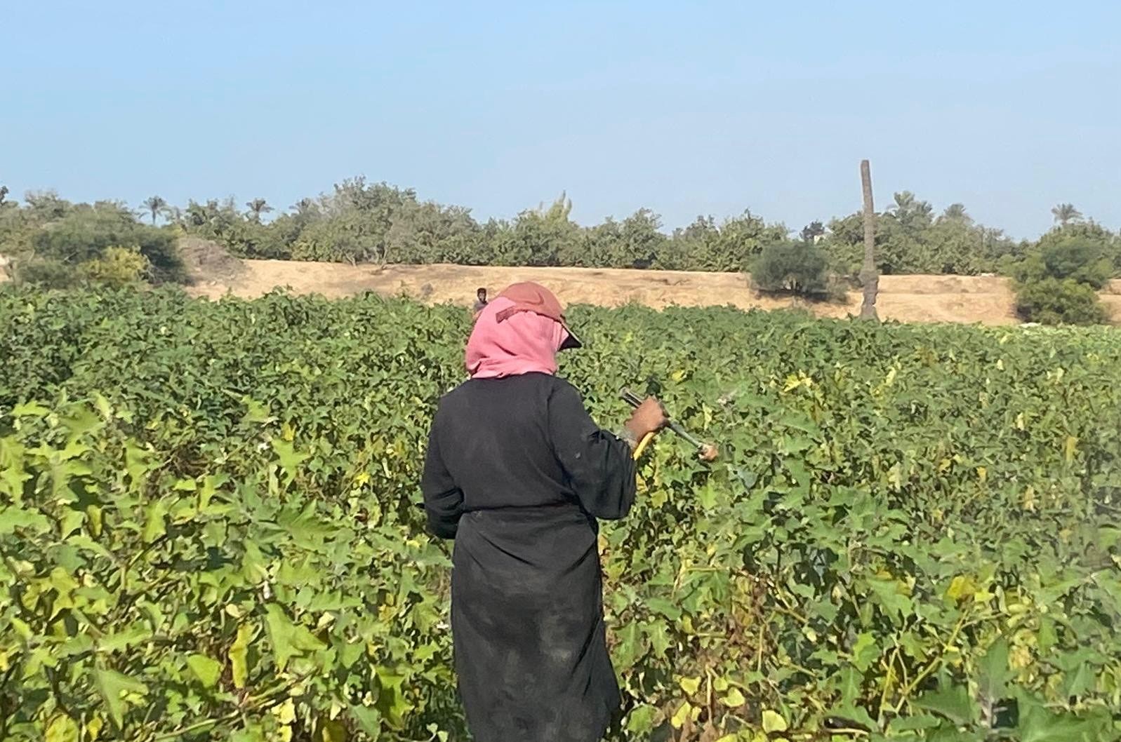 47f81e0f-1bf1-4913-a9d5-41f3b622e9c2.jfif