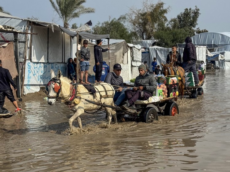 23 Aug_2026_02_su24-3.jpg