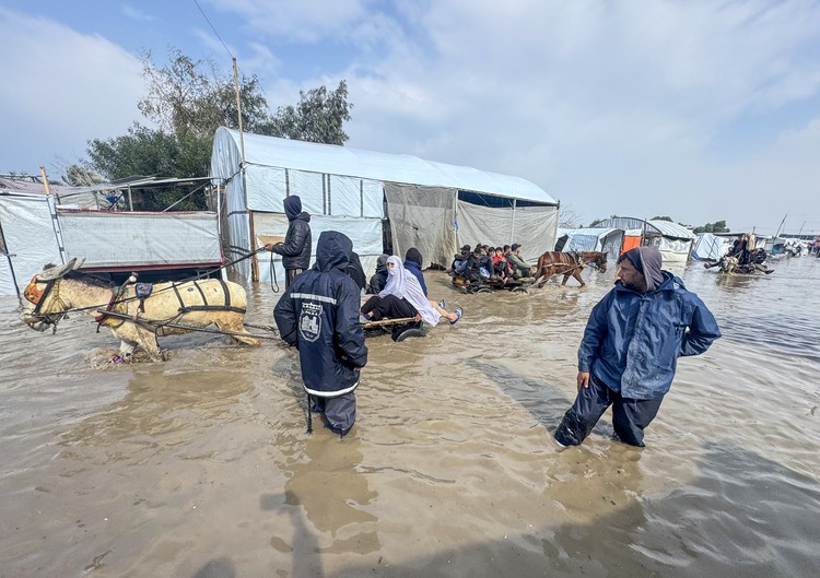 23 Aug_2026_02_su24-5.jpg