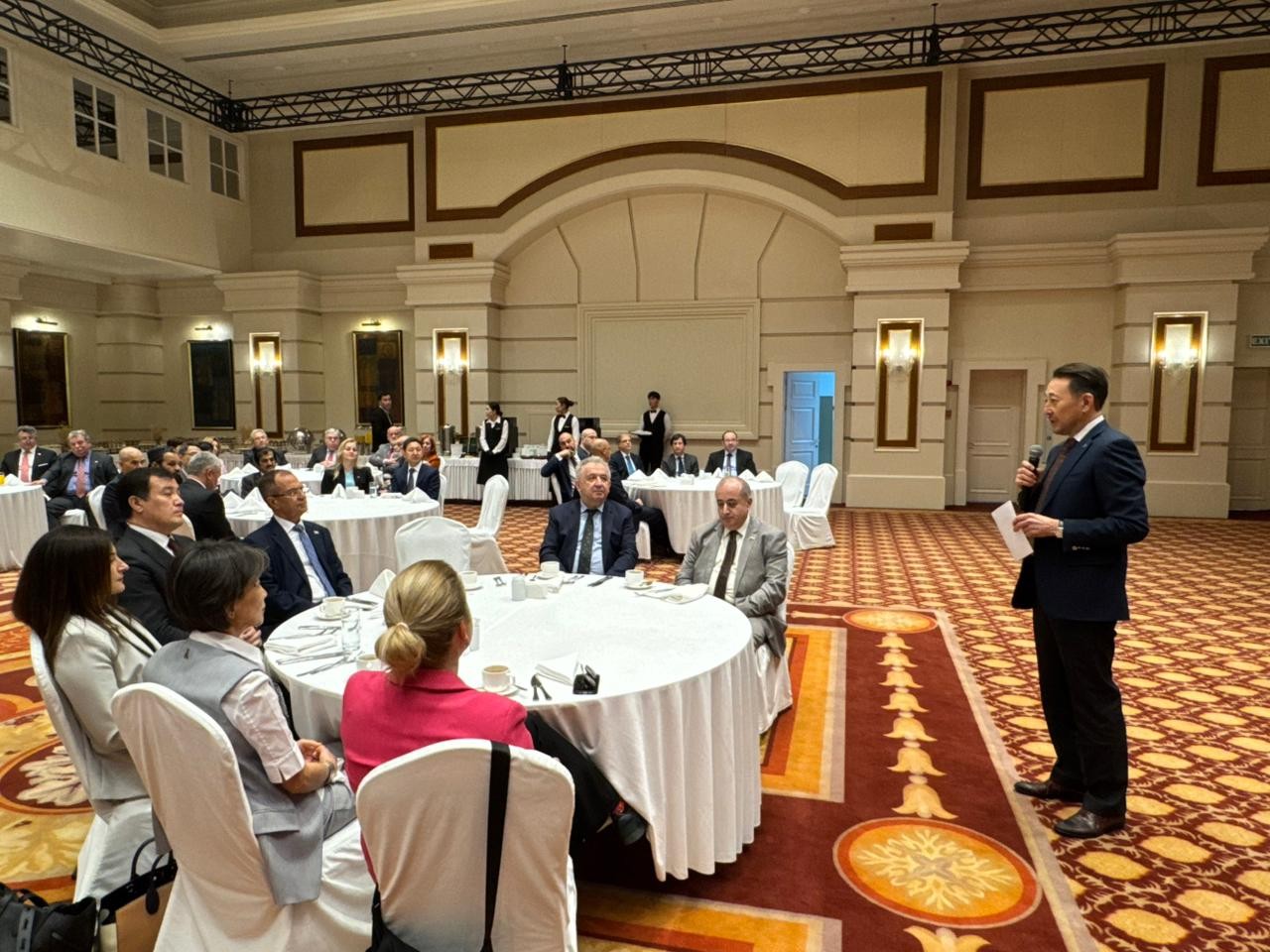 e08f47eb-9d6d-4294-8388-f73b719a6563.jfif