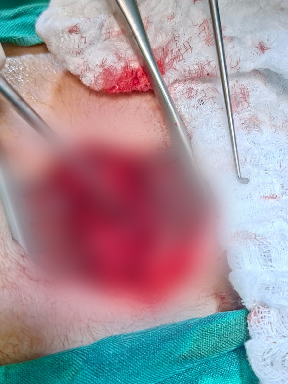 WhatsApp Image 2026-04-18 at 8.52.24 AM.jpeg