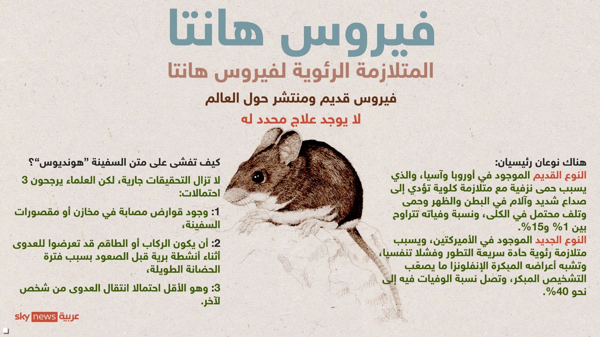 6.webp