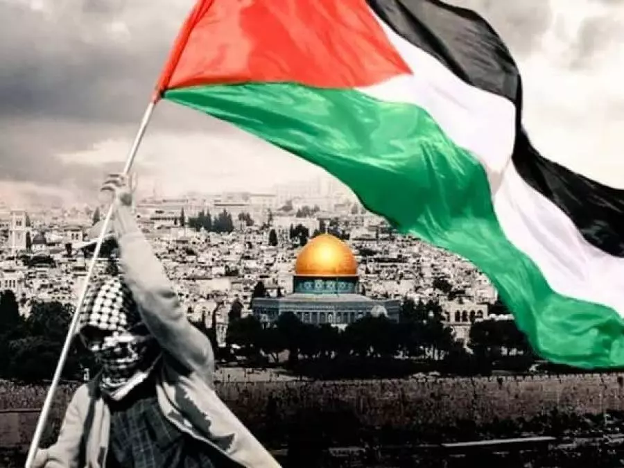 علم فلسطين.webp