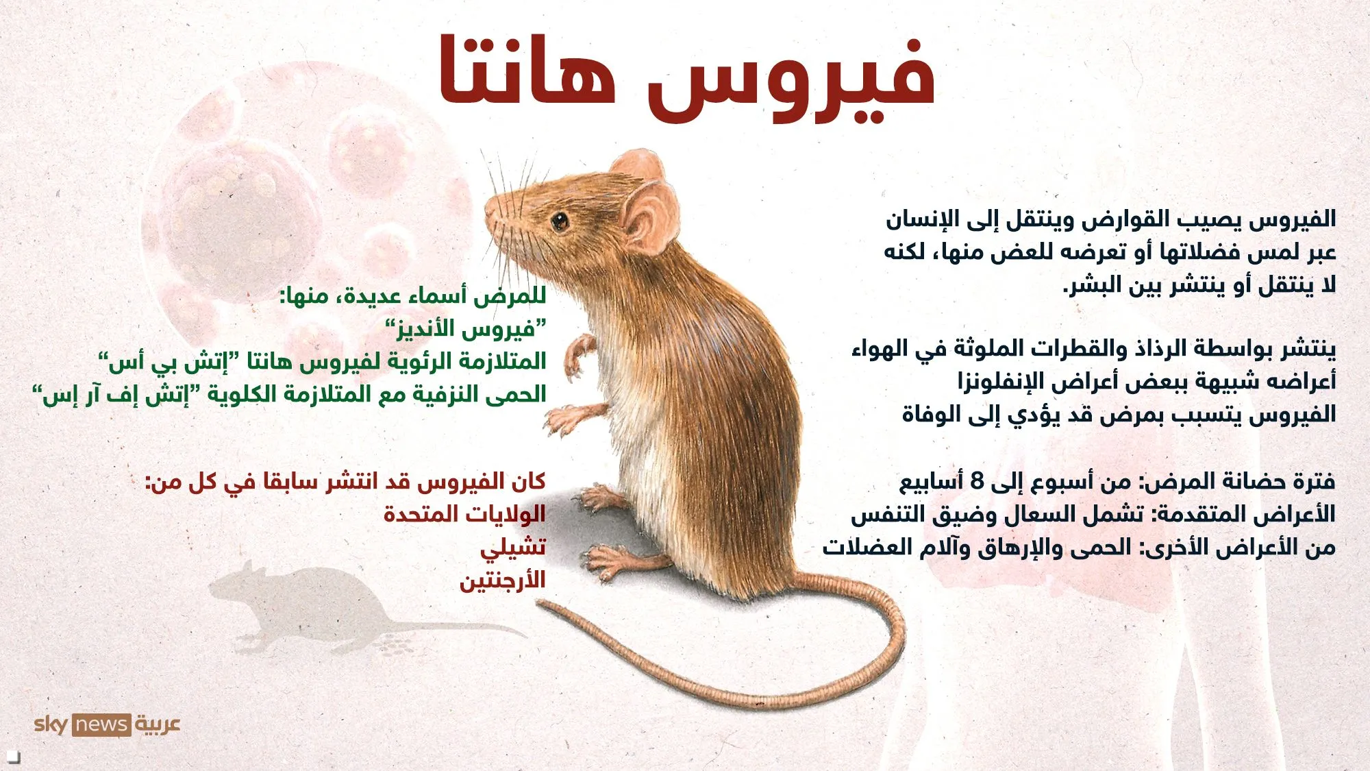 4.webp